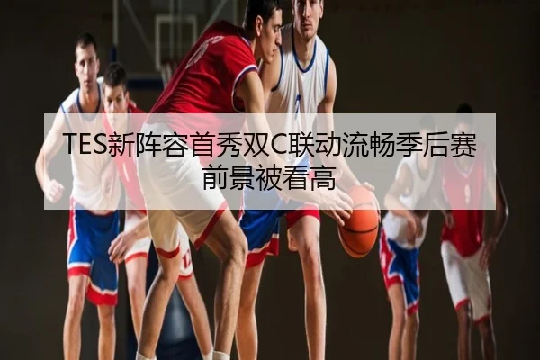 TES新阵容首秀双C联动流畅季后赛前景被看高