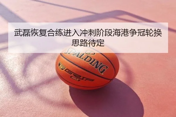 武磊恢复合练进入冲刺阶段海港争冠轮换思路待定
