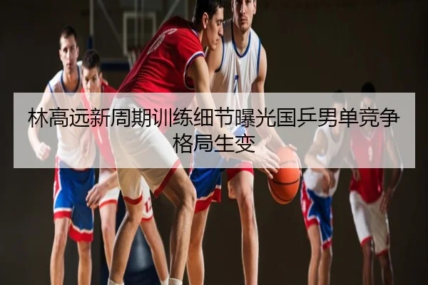 林高远新周期训练细节曝光国乒男单竞争格局生变